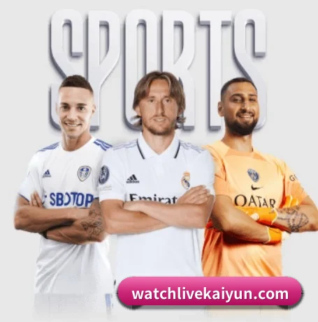 了解kaiyun的独特优势